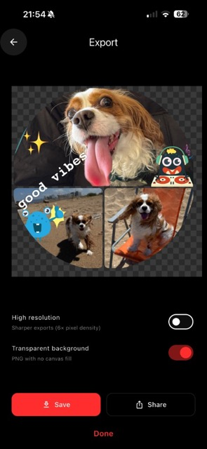 Zuli Collage export screen with save and share options